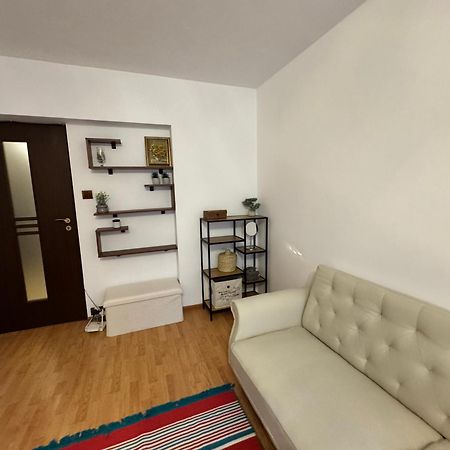 Apartament Zona Marriott-Palatul Parlamentului Бухарест Экстерьер фото